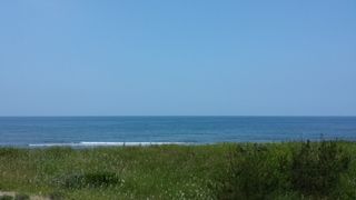 20130629_104133.jpg