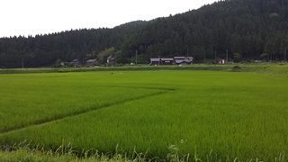 20130630_165017.jpg