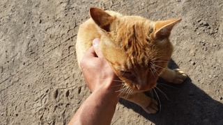 20130720_074802.jpg
