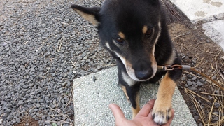 20130730_074914.jpg