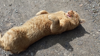 20130804_085353.jpg