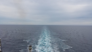 20140804_160458.jpg