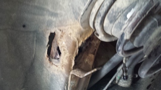 20150409_105642.jpg