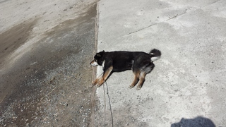 20150409_111442.jpg