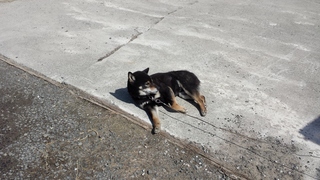 20150409_111456.jpg