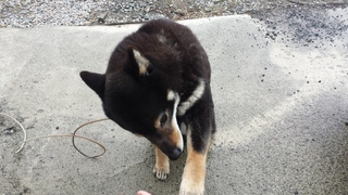 20150416_091149.jpg