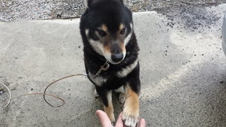 20150416_091156.jpg