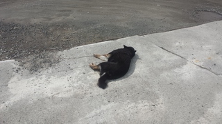 20150417_115805.jpg