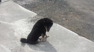 20150417_115817.jpg