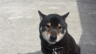 20150417_115902.jpg