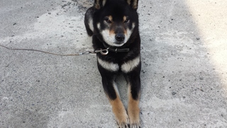 20150418_082553.jpg