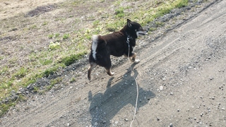 20150418_082903.jpg