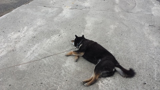 20150418_114435.jpg