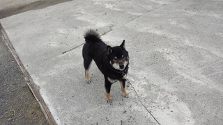20150420_081910.jpg