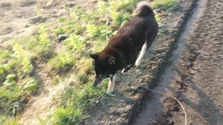20150422_063219.jpg