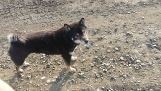 20150422_063524.jpg