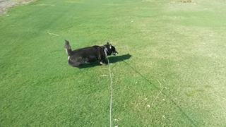 20150423_074808.jpg