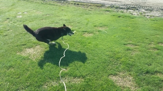 20150423_074810.jpg