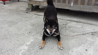 20150424_080928.jpg
