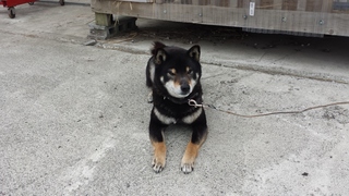 20150424_080934.jpg
