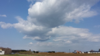 20150425_085036.jpg