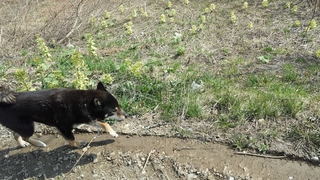 20150425_085457.jpg
