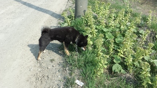 20150427_082823.jpg