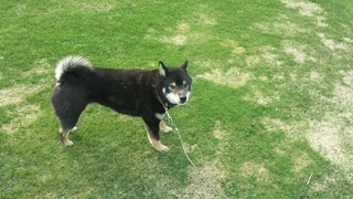 20150428_075314.jpg