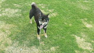 20150428_075322.jpg