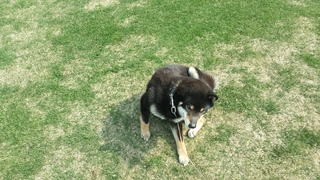 20150501_083243.jpg