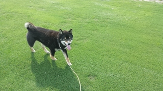 20150501_083300.jpg