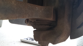 20150501_150257.jpg