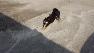 20150502_074936.jpg