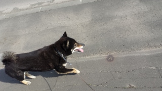 20150502_075907.jpg