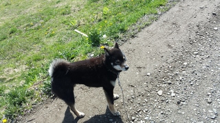 20150505_092133.jpg