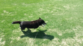 20150505_092309.jpg
