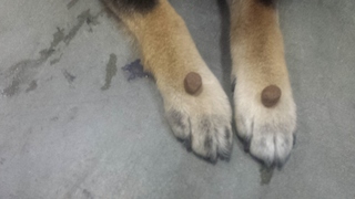 20150507_000402.jpg