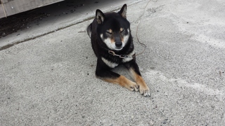 20150509_075322.jpg