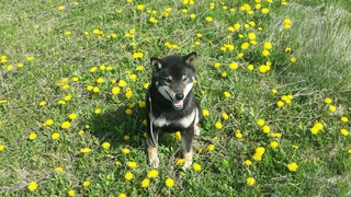 20150511_084221.jpg