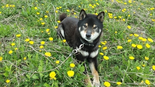 20150512_082247.jpg