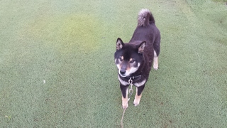 20150513_082547.jpg