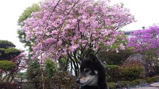 20150514_080929.jpg