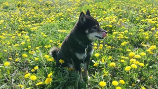 20150518_080141.jpg