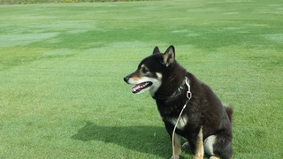 20150520_080507.jpg