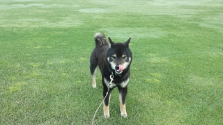 20150522_085820.jpg