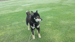 20150522_085826.jpg