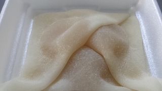 20150528_170406.jpg