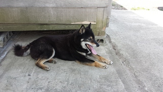 20150601_073221.jpg