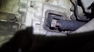 20150625_193137.jpg